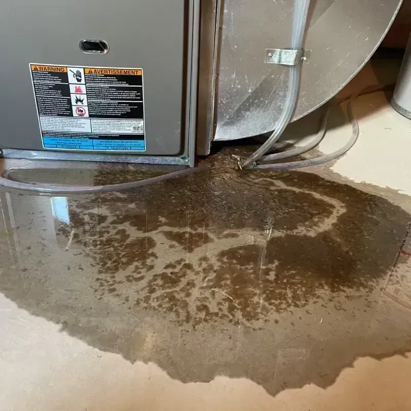 Appliance Leak Cleanup in Spencer, IA